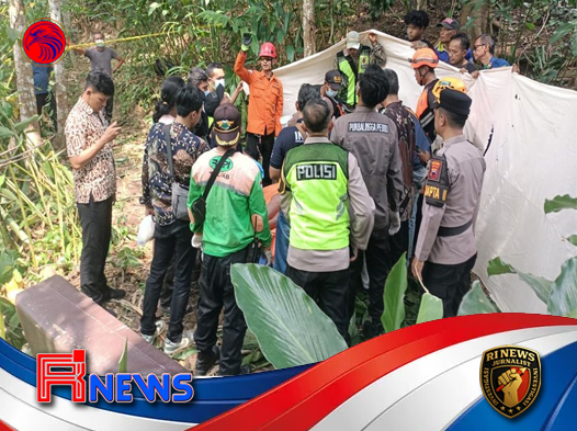 Lansia Purbalingga Meninggal Saat Memetik Kelapa di Ketinggian 15 Meter