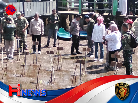 Pelepasan Penyu dan Konservasi Mangrove di Ampiang Parak