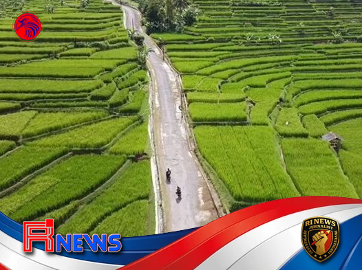 Sumedang Pastikan Cadangan Pangan Daerah Tepat Sasaran lewat Verifikasi Berjenjang