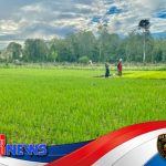 Akselerasi Konstruksi Fisik Pasca Bencana