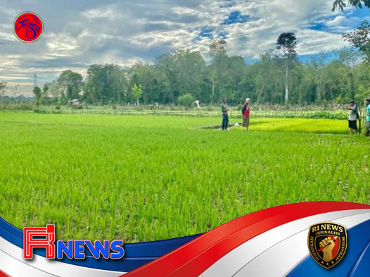 Akselerasi Konstruksi Fisik Pasca Bencana