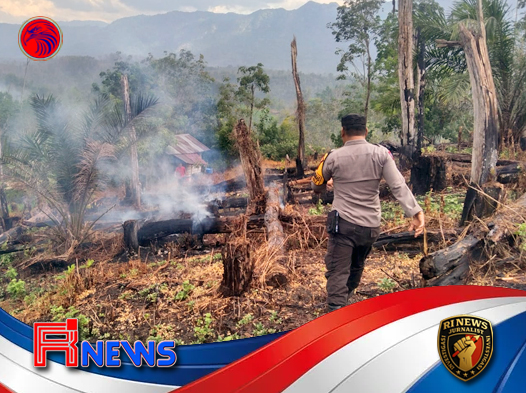 Deteksi Dini dan Respon Lapangan