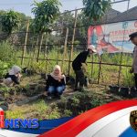 Langkah Sederhana Polsek Plosoklaten Bangun Ketahanan Pangan dari Halus
