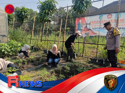 Langkah Sederhana Polsek Plosoklaten Bangun Ketahanan Pangan dari Halus