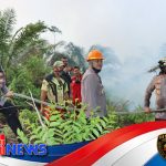 Pertempuran di Tanah Gambut