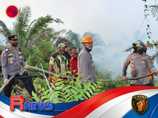 Pertempuran di Tanah Gambut