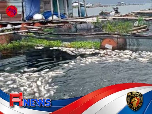 Ribuan Ikan Mati Massal di Waduk Tandon Selogiri