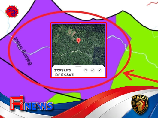 Hutan Lindung Dibuka Lahan Sawit