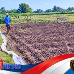 Ketahanan Pangan Bisa Dimulai dari Lahan Kumuh