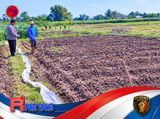Ketahanan Pangan Bisa Dimulai dari Lahan Kumuh