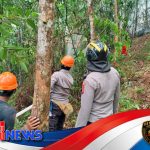 Sinergi Lintas Sektor dan Pendekatan Komunitas dalam Mitigasi Kebakaran Hutan dan Lahan di Kabupaten Melawi