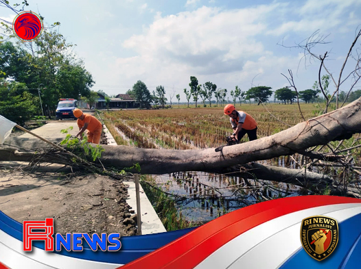 Angin Kencang Porak-porandakan Tiga Kecamatan di Sragen