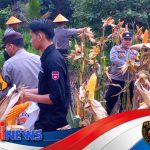 Dari Ladang Kerangan