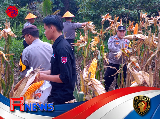 Dari Ladang Kerangan