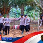 Polres Melawi Tanam Jagung Hibrida di Lahan Petani Binaan