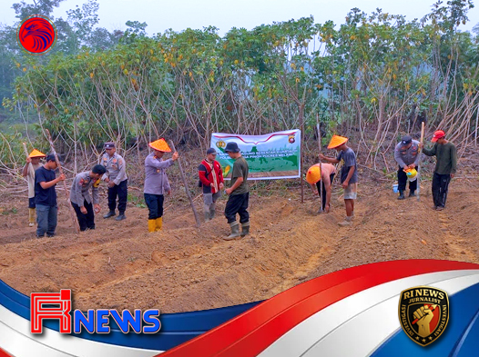 Polsek Nanga Pinoh Bersama Poktan Laman Beringin II Tanam Jagung Hibrida