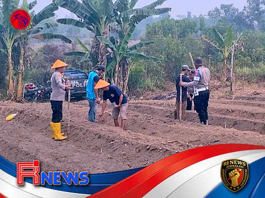 Semangat Gotong Royong Polisi dan Petani Lanjutkan Ketahanan Pangan di Melawi